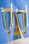 toast glasses