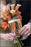 wedding toast by bride and groom