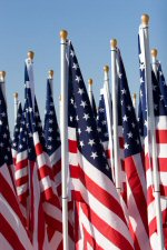 American flags