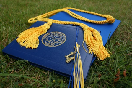 Graduation hats with diplomas on grassy background