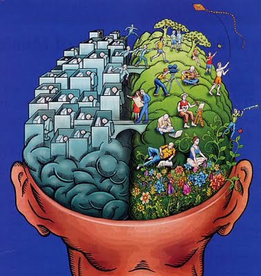 The two parts of the brain that make up intelligence The two parts of the brain that make up intelligence