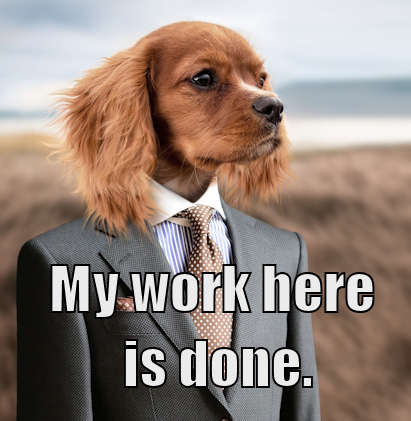dog in business suit with caption My Work Here is Done.