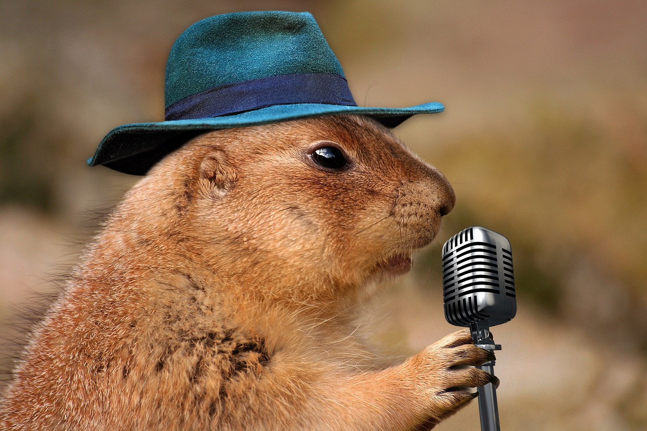 Funny photo of a groundhog wearing a cap and speaking into a microphone.